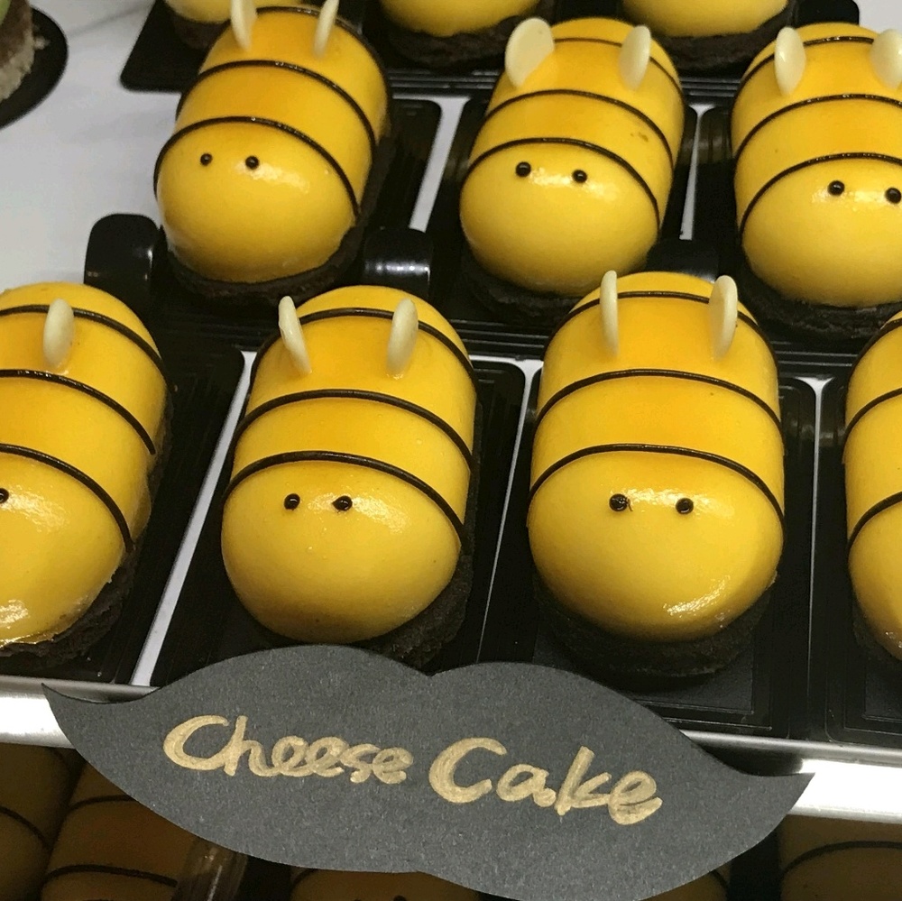 Meet your Posher, Sophie